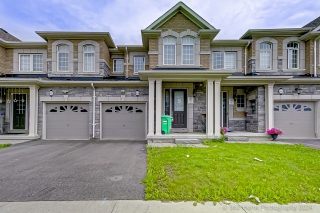64 Finegan Cir, Brampton, ON L7A 0B7, Canada, ,  