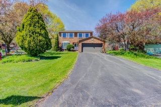 230 Lancaster Ave, Newmarket, ON L3Y 5X2, Canada, ,  