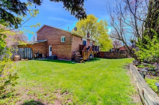 230 Lancaster Ave, Newmarket, ON L3Y 5X2, Canada, ,  