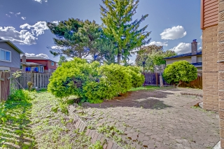15 Littleleaf Dr, Scarborough, ON M1B 1Y6, Canada, ,  