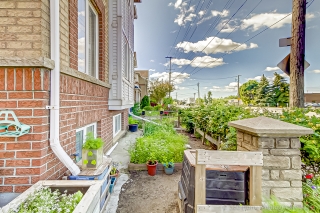 97 Carrera Blvd, Scarborough, ON M1P 5C4, Canada, ,  