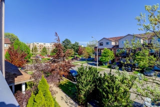 107 Sufi Crescent, Toronto, ON M4A 2X3, Canada, ,  