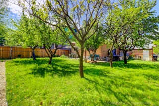 119 Regina Ave, North York, ON M6A 1R8, Canada, ,  