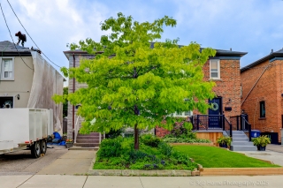 74 Cliff St, York, ON M6N 4M1, Canada, ,  
