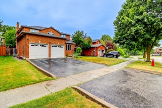262 Savage Rd, Newmarket, ON L3X 1S1, Canada, ,  