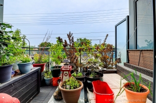 Unit 212-7890 Bathurst St, Vaughan, ON L4J 0J8, Canada, ,  
