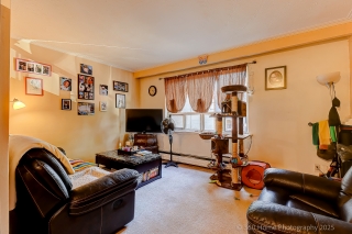 2316 Lake Shore Blvd W, Etobicoke, ON M8V 1B5, Canada, ,  
