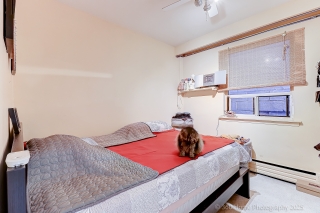 2316 Lake Shore Blvd W, Etobicoke, ON M8V 1B5, Canada, ,  