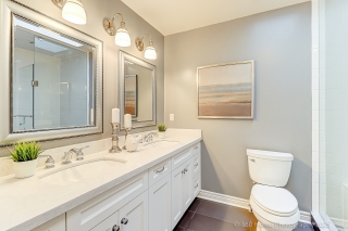 343 Cranbrooke Ave, Toronto, ON M5M 1N2, Canada, ,  