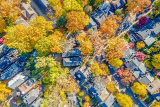 91 Braemore Gardens, Toronto, ON M6G 2C7, Canada, ,  