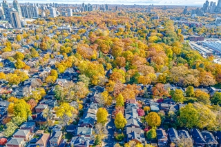 91 Braemore Gardens, Toronto, ON M6G 2C7, Canada, ,  