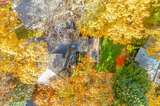 91 Braemore Gardens, Toronto, ON M6G 2C7, Canada, ,  