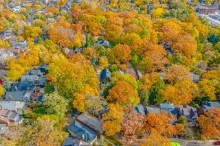 91 Braemore Gardens, Toronto, ON M6G 2C7, Canada, ,  