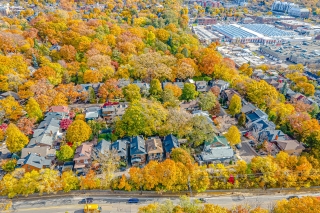 91 Braemore Gardens, Toronto, ON M6G 2C7, Canada, ,  