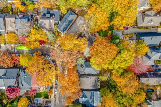 91 Braemore Gardens, Toronto, ON M6G 2C7, Canada, ,  