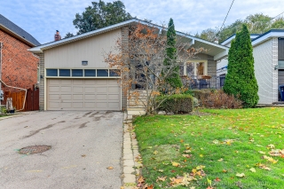 81 Sultana Ave, North York, ON M6A 1T4, Canada, ,  