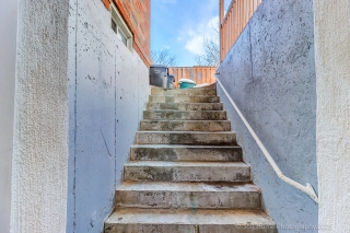 806 White Clover Way, Mississauga, ON L5V 3C5, Canada, ,  